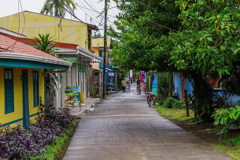 Saison des tortues au Costa Rica ; Rue principale, Tortuguero bordée d'arbres et de petites maisons jaunes et bleues