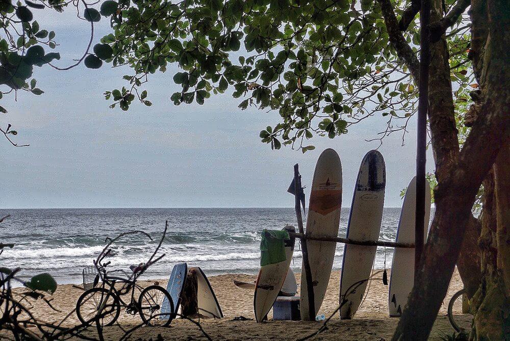 Surfboards, and bicycles