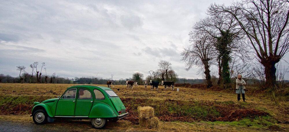 green citroen, bales of hay, woman with arms folded, cows in the background
