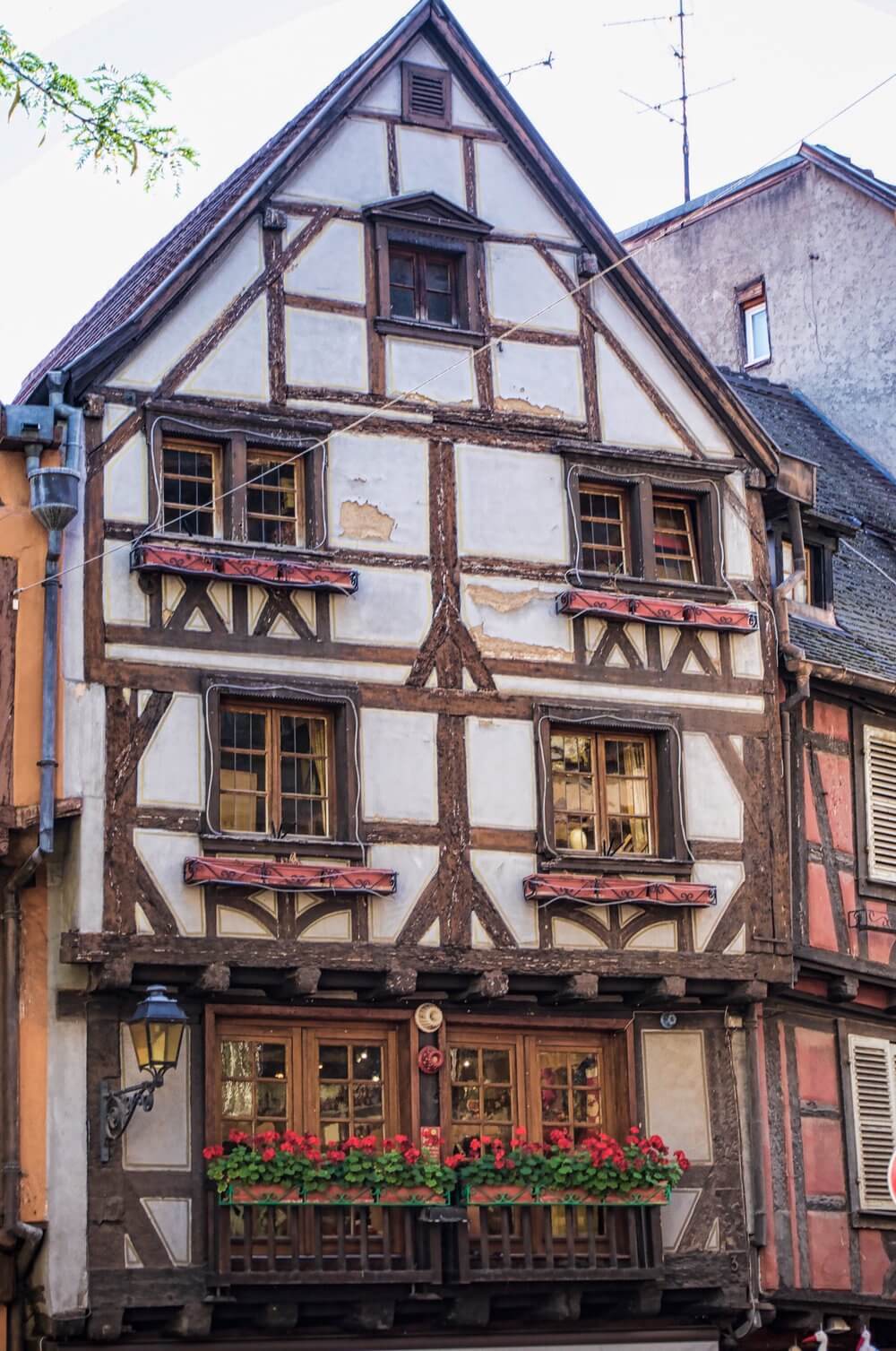 Visit Colmar: Red geraniums hang from a half timbered house