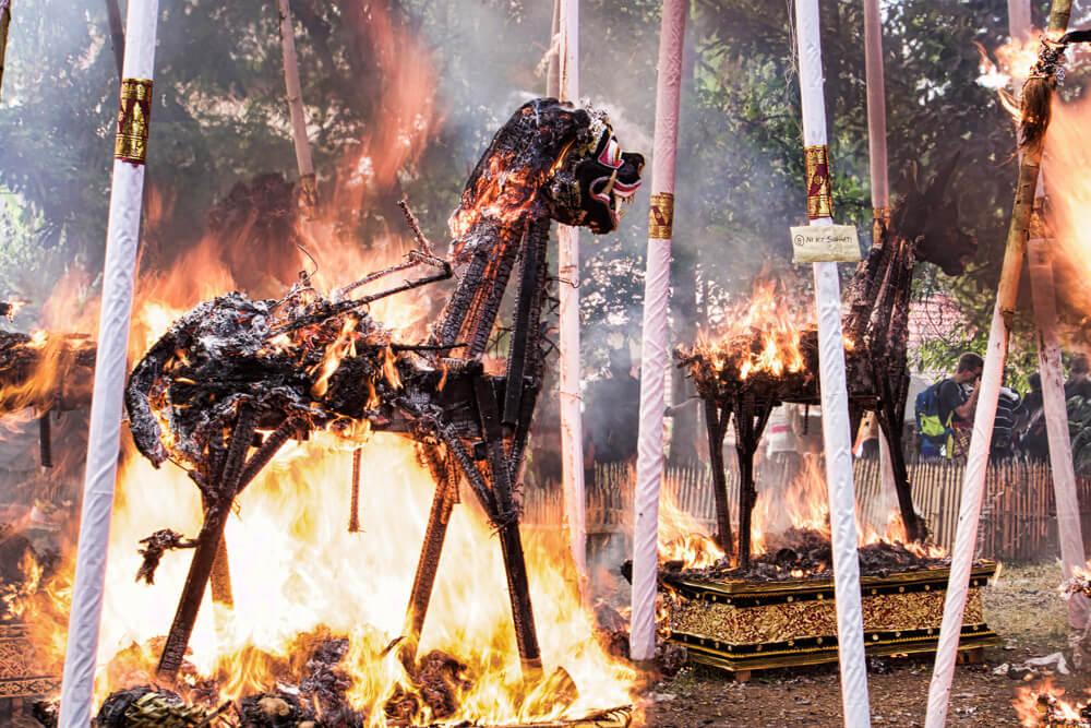 Balinese cremation ceremony: aflame - the oxen and horses burn