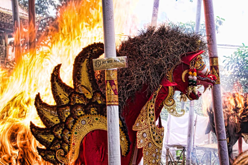 Balinese cremation ceremony: flames engulf the oxen
