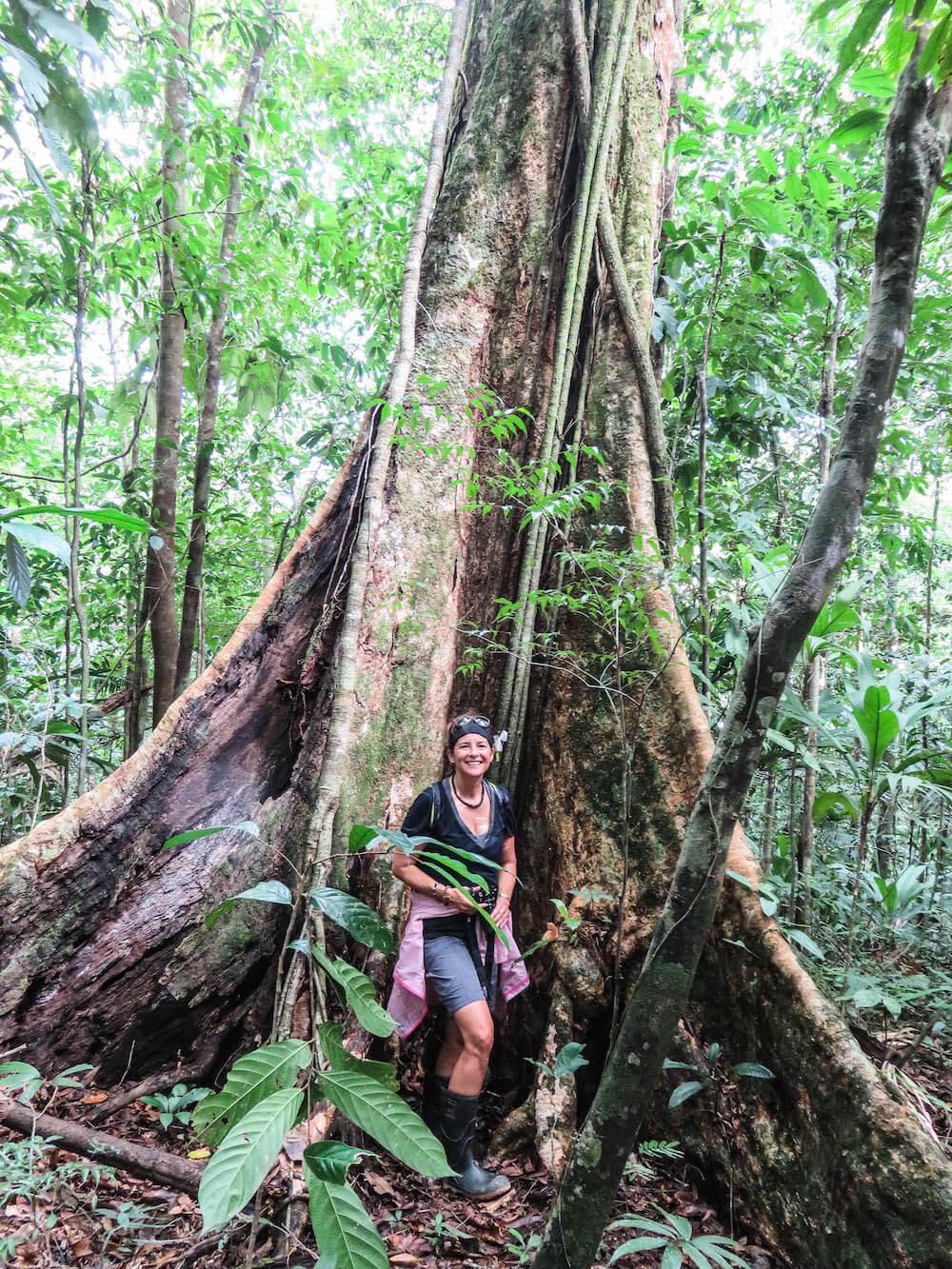 Fear of travelling: the author by a large tree in the jungle