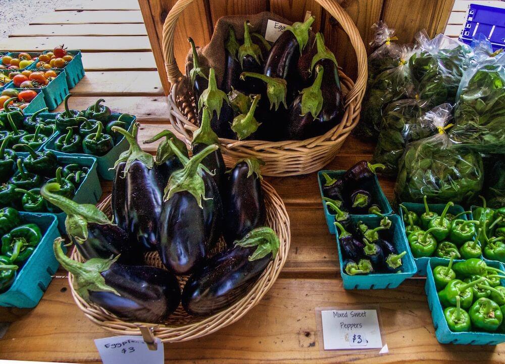 Fresh eggplants on Salt Spring Island BC