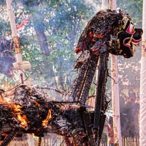 Burning Ox at Hindu cremation in Ubud, Bali