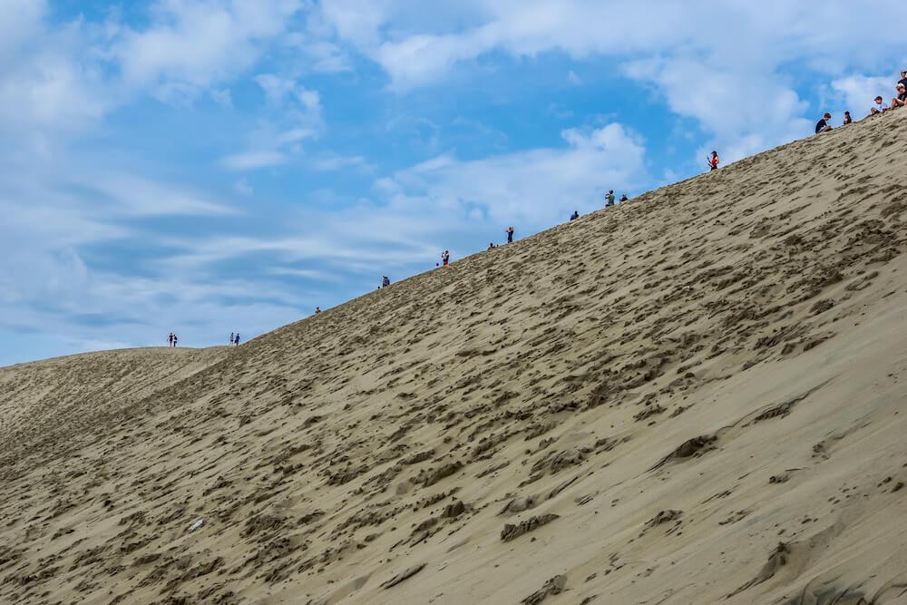 the ridge of the Dune du Pilat