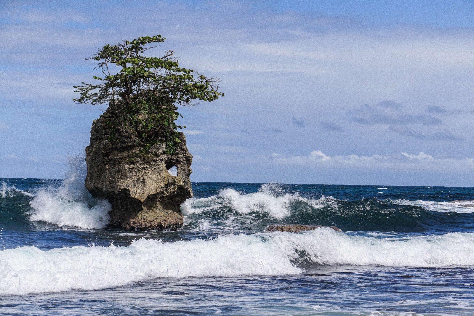 Welcome to Costa Rica: Big rock in ocean with a hole in it, tree on top, waves all around