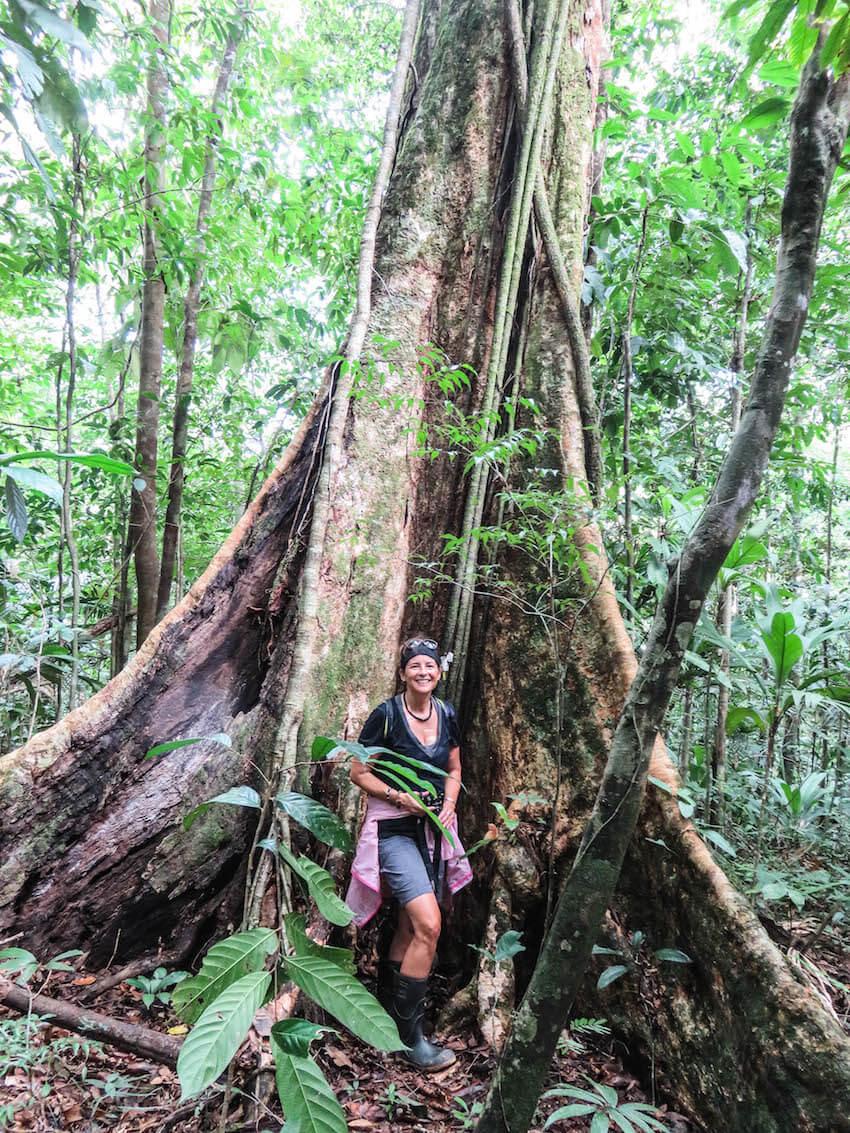 Follow your dreams beyond the comfort zone. Alison Browne standing in front of a huge jungle tree