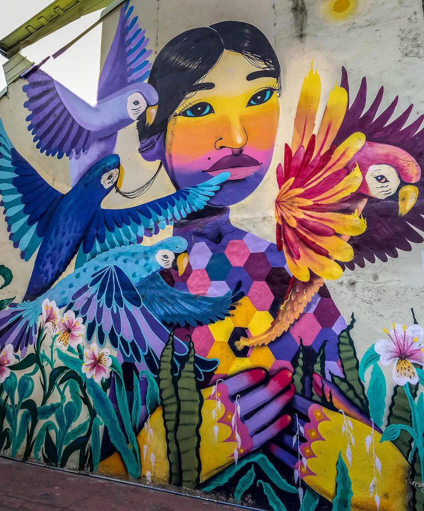 Things to do in Valparaiso: Street art - Mapuche woman with 4 colourful birds surrounding her