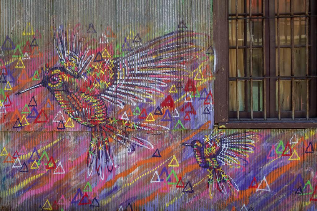One of the things to do in Valparaiso, Chile is admire the street art: colourful humming birds look to be in motion 