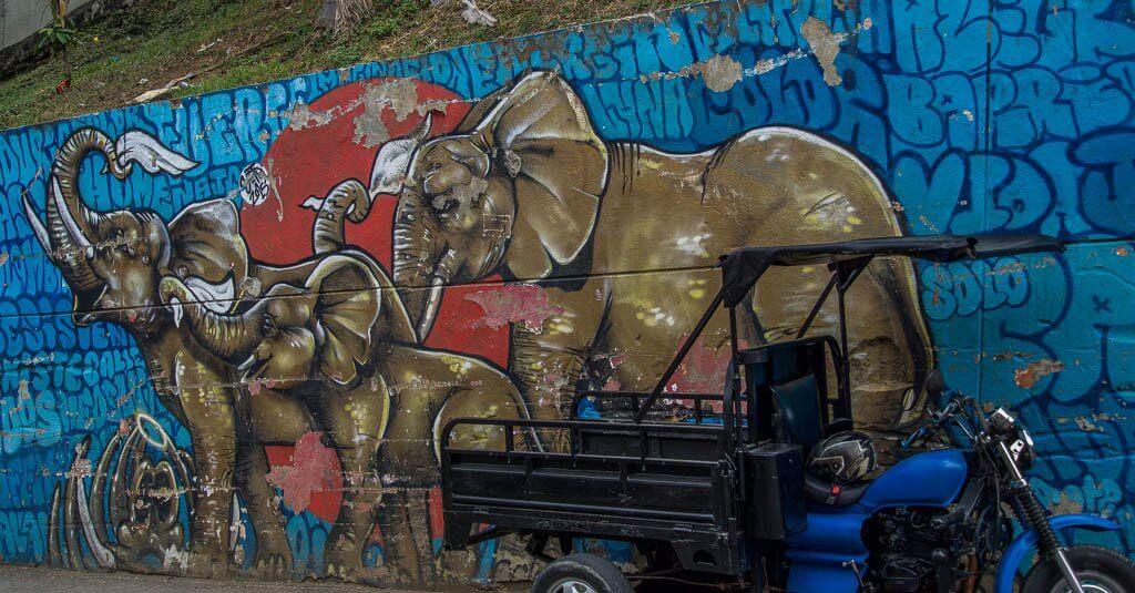 Comuna 13: Graffiti art - Elephants waving white flags for peace