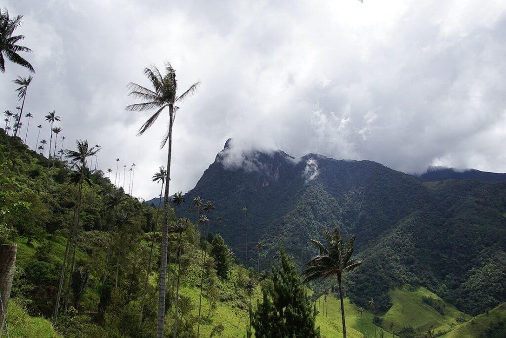 Welcome to Colombia: Valle de Corcora; tall wax palms and the mountains