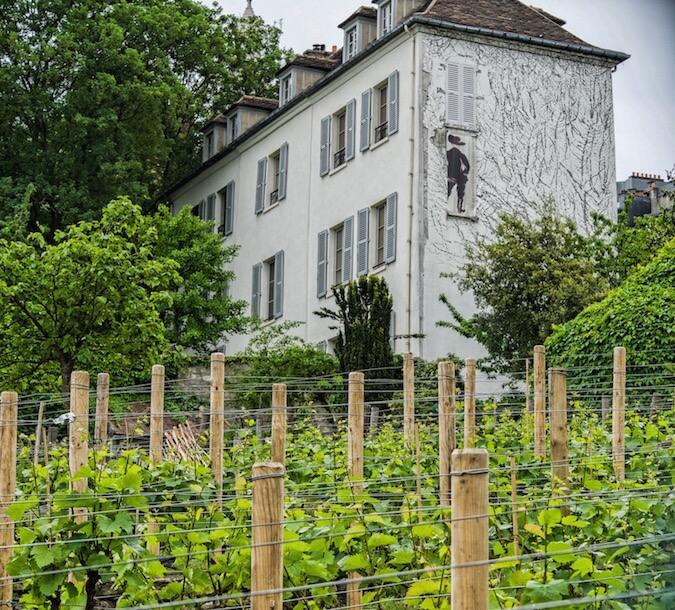 Hidden Gems in Paris: vineyards and wooden posts(fence) and a white buildings with a painting of a man in black clothes