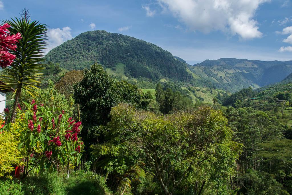 Jardin Colombia: Gorgeous lush green mountaintops and red flowers