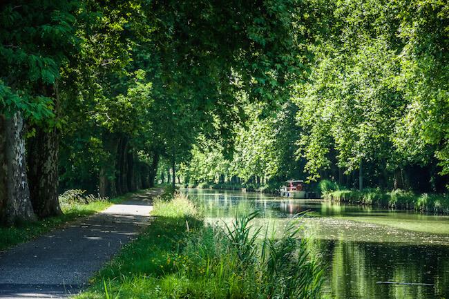 House and pet sitting - find the canal with trees drooping all across and a boat moored