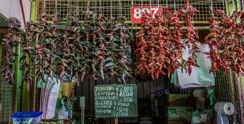 tons of red and green chili peppers hanging