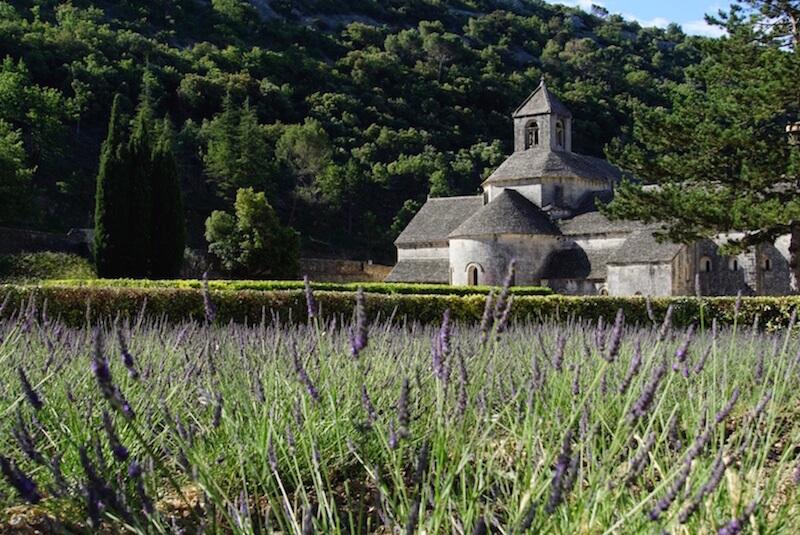 Romanesque abbey in a green valley with purples lavender in the foreground