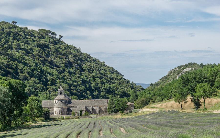 Abbaye de Sénanque and the lavender fields