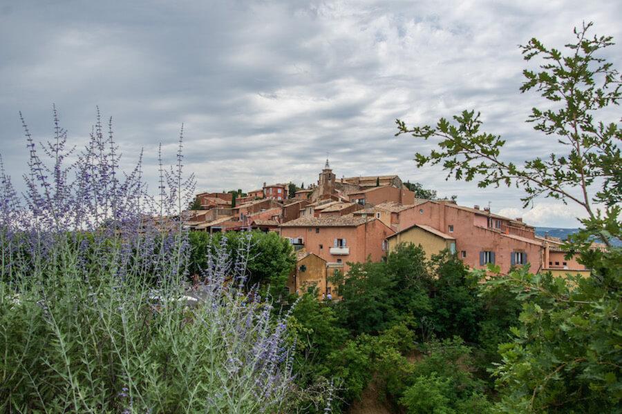Roussillon France - beautiful red buildings and lavender in the foreground.