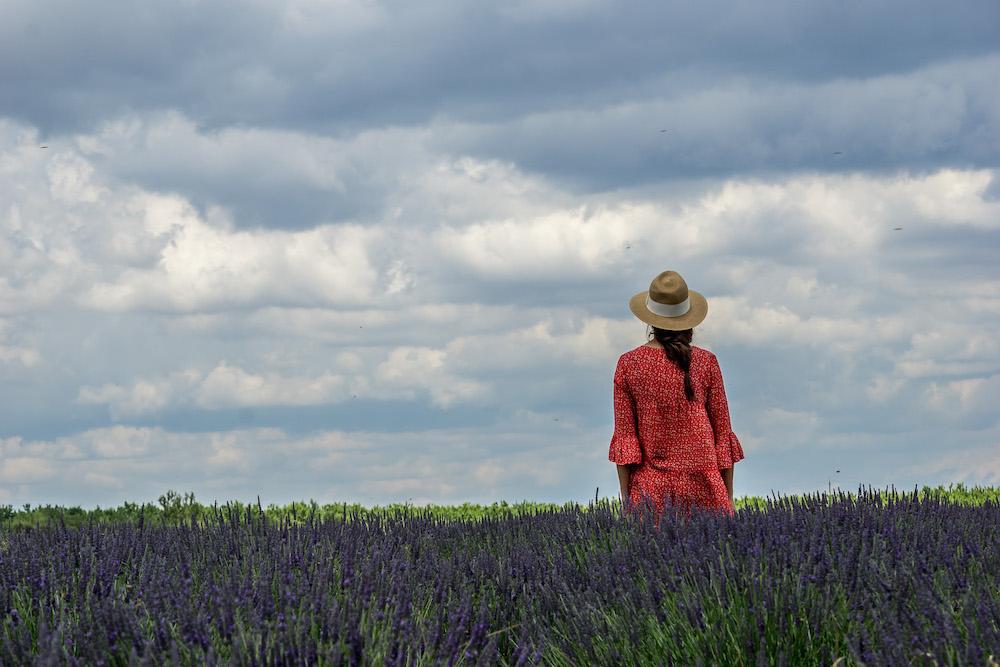 Stading in Lavender fields Provence France