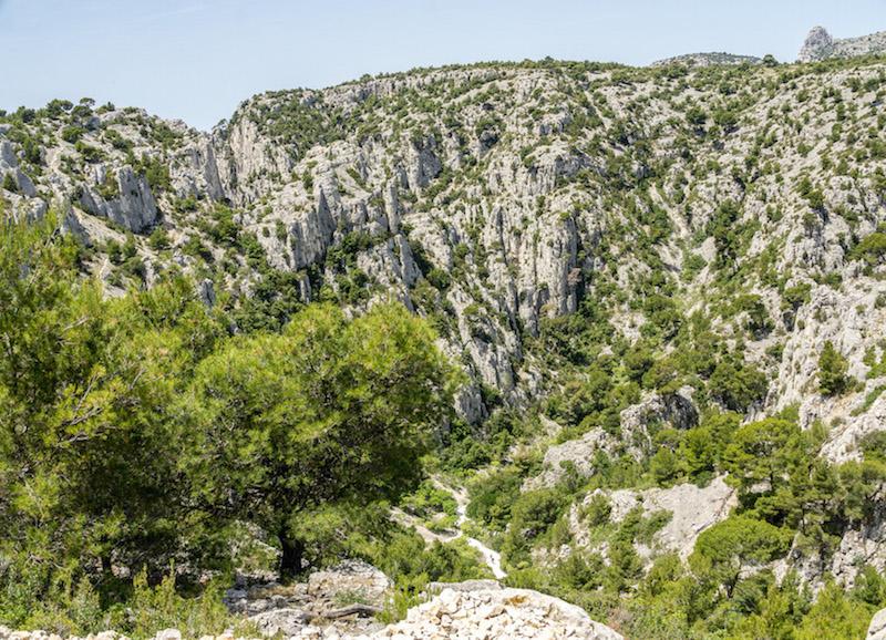 Calanques de Cassis- high cliffs and scraggily pines