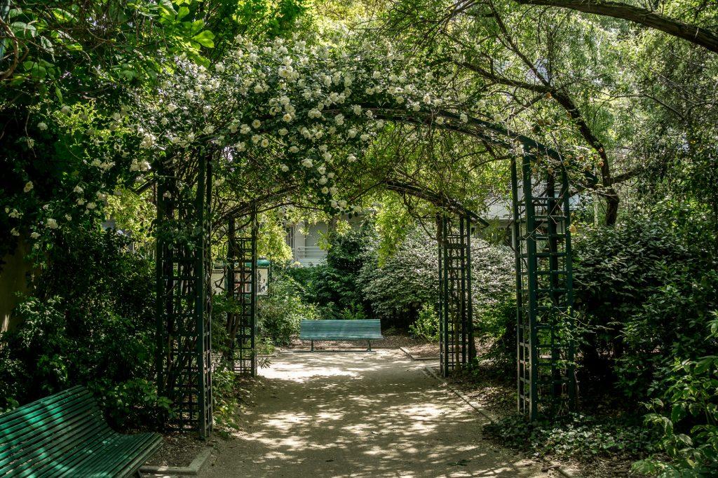 roses from above create an archway to enter the park near this Paris street