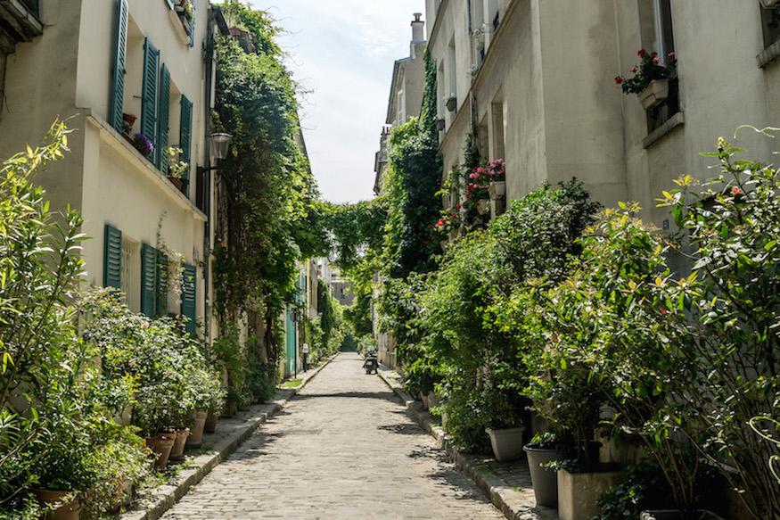 greenery laden cobbled laneway in the 14th arrondissement of Paris