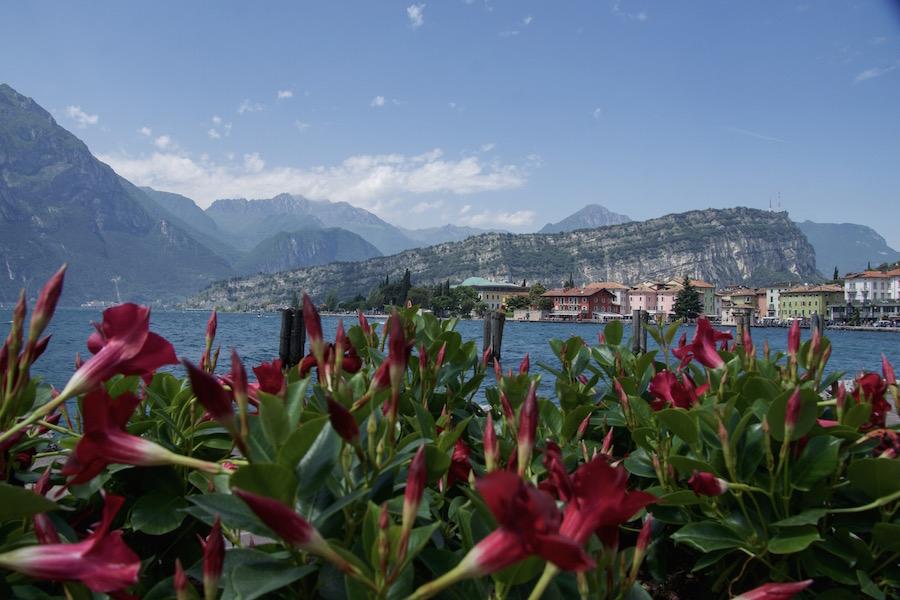 Lake Garda: pink flowers in foreground: the kalem mountains and colourful buildings in background