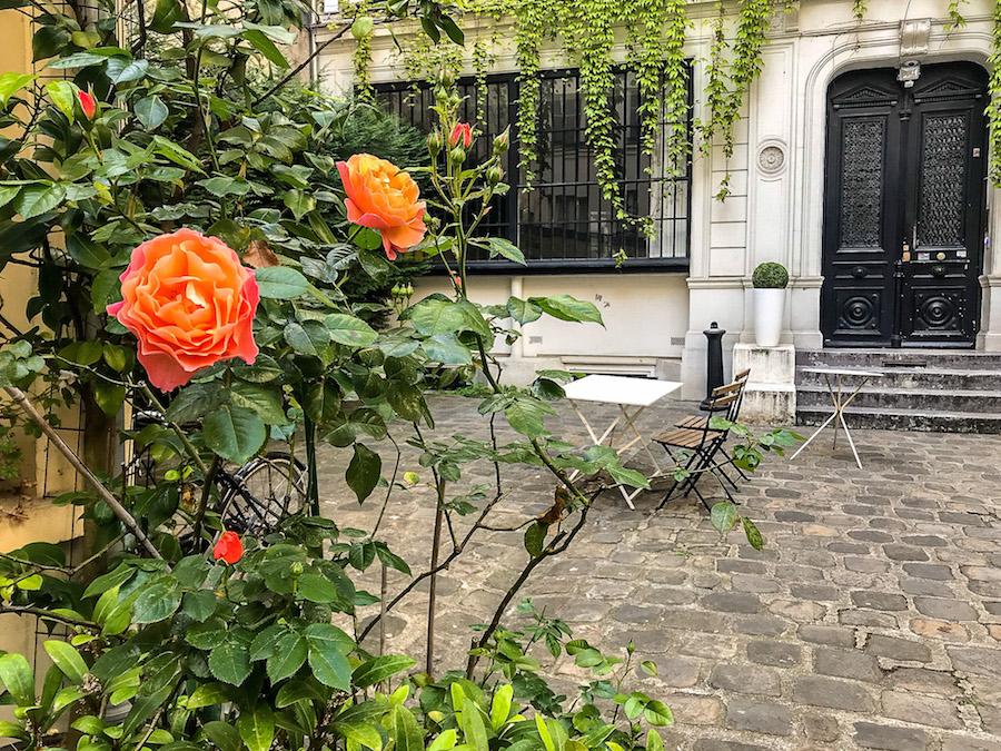 Orange roses in Paris