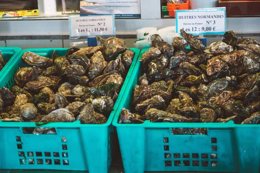 how to eat oysters like the French -know which size you want to eat