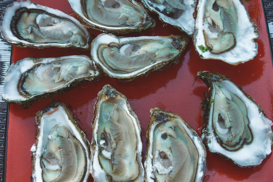 how to eat oysters like the French - arrange them on a platter. this platter is red 