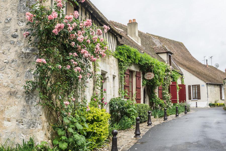 roses climb the homes in Provins France