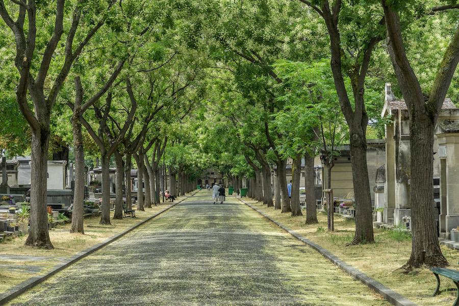 Tree lined road at the Montparnasse cemetery in the 14th arrondissement of Paris