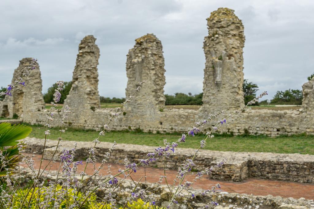 La Flotte Ile de Ré: the ruins with purple flowers in front