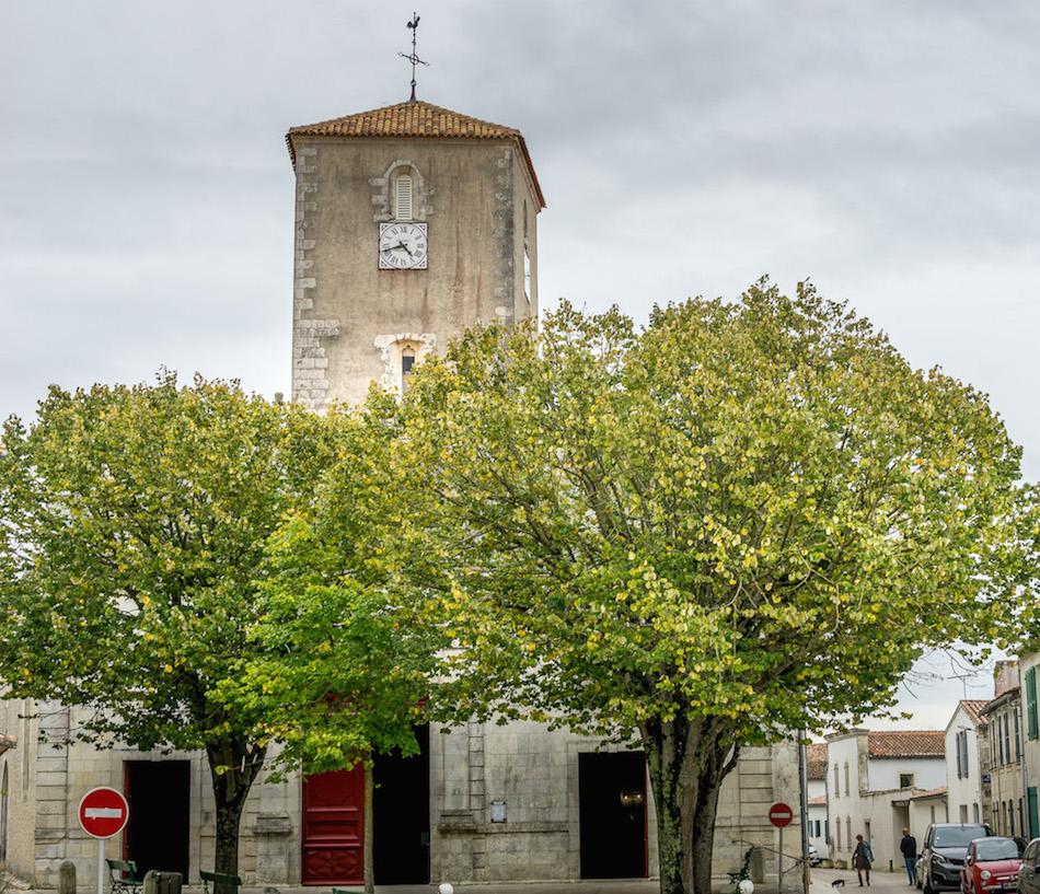 La Flotte Ile de Ré: the bell tower of the church rises above 2 green trees