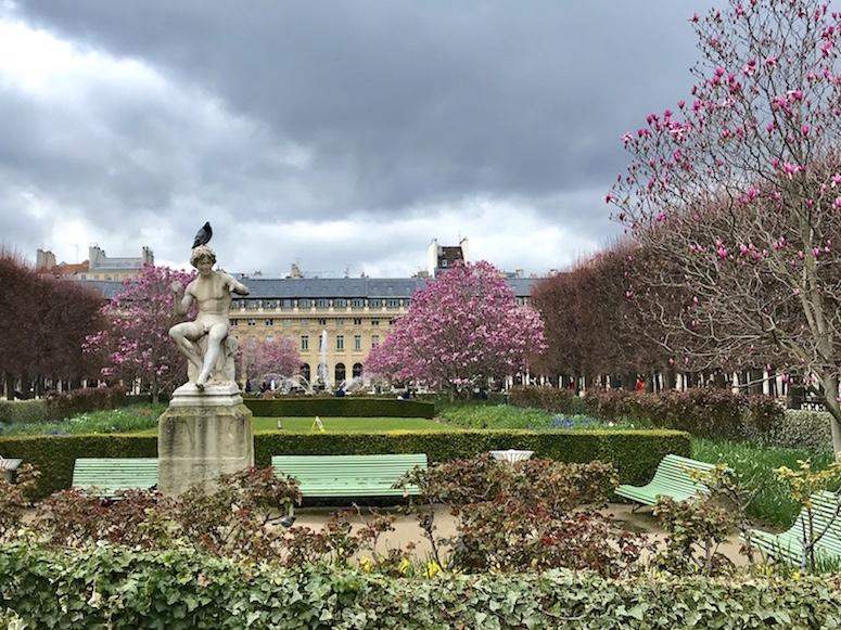 spring in Paris - magnolias