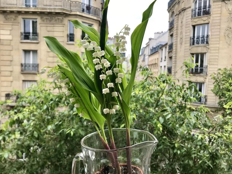 spring in Paris - lily of the valley for May Day