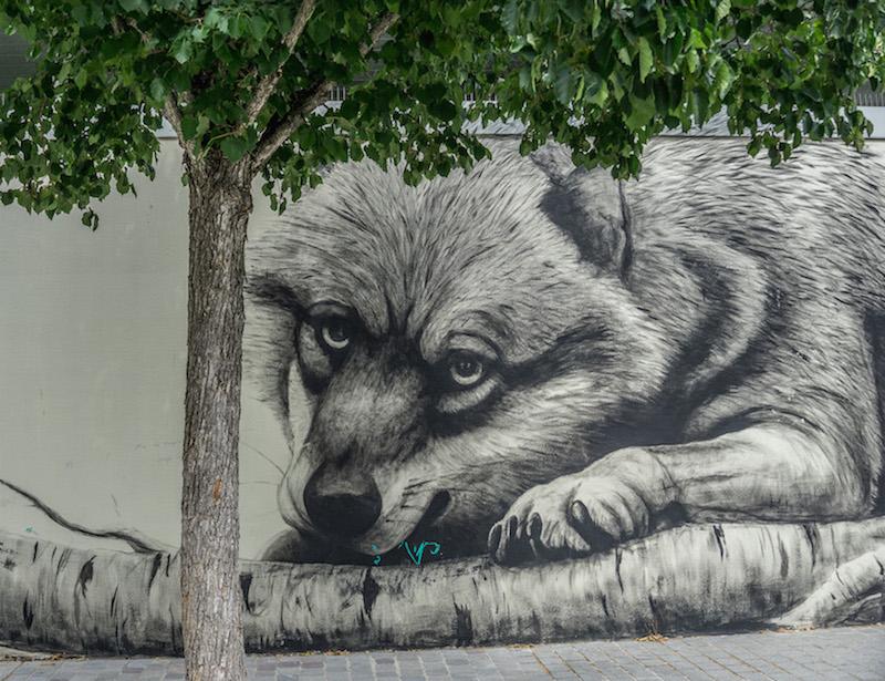 street art on rue Albioni 