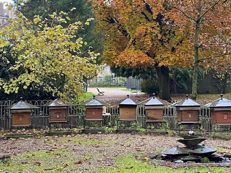 Jardin du Luxembourg - the beehives