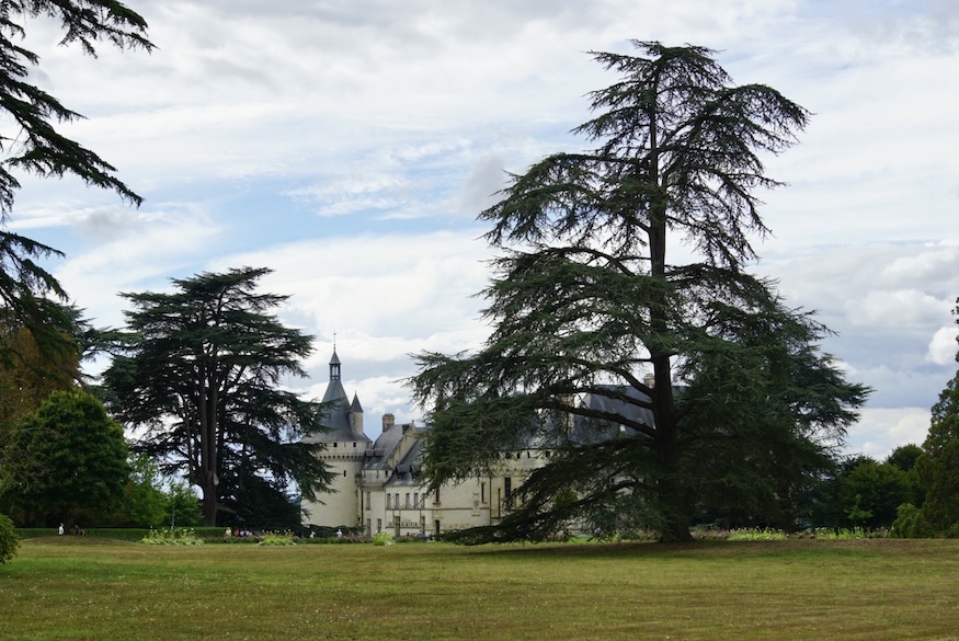 Château de Chaumont-sur-Loire from the grounds