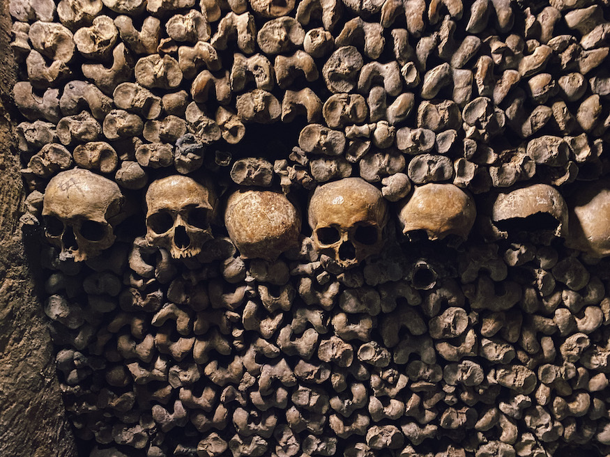skulls Paris catacombs
