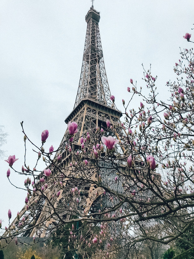 Paris in April - Eiffel Tower 