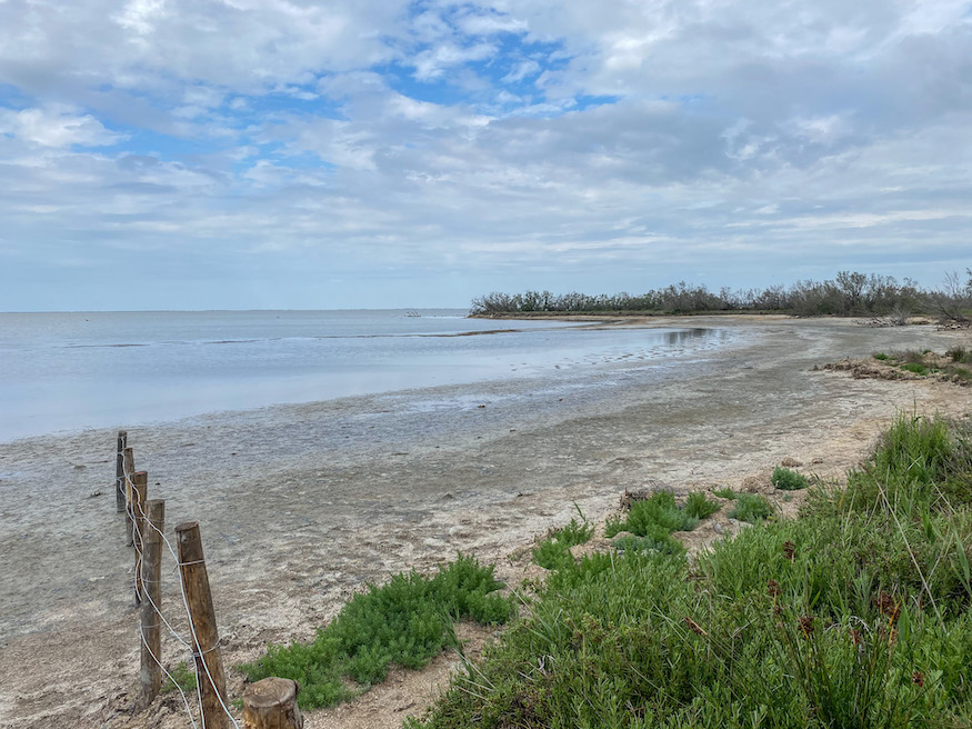 Reasons to visit the Camargue - the shore 